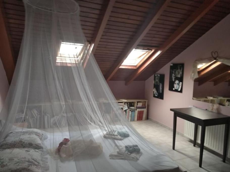 Grecos Apartment 프레베자 외부 사진